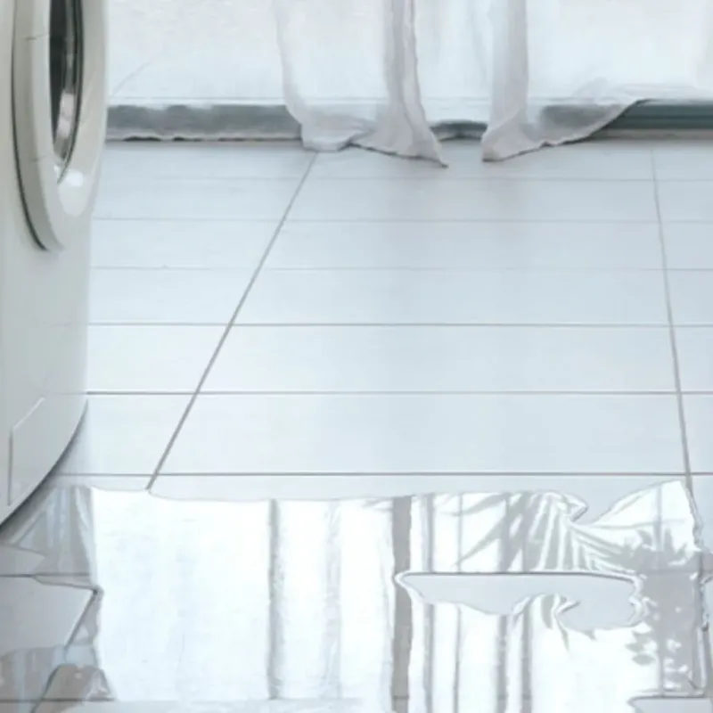 Appliance Leak Cleanup in Fond du Lac County, WI