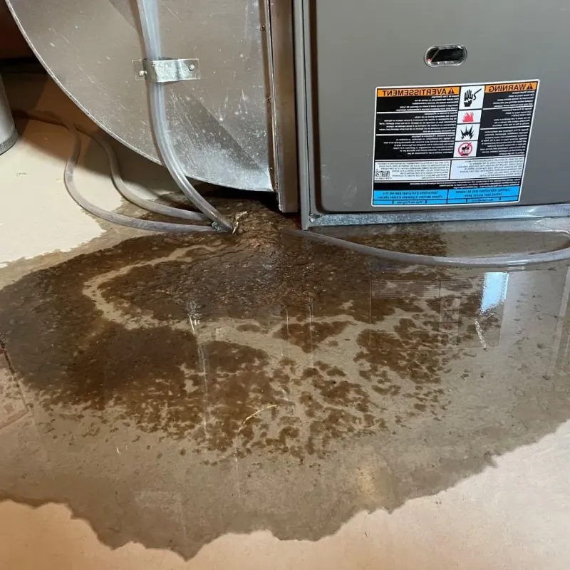 Pipe Burst and Leak Restoration in Fond du Lac County, WI